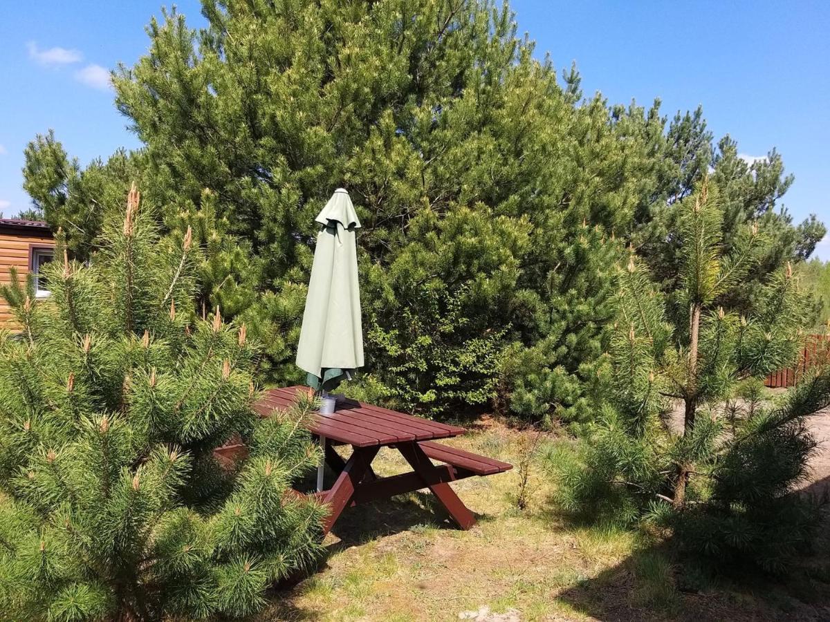 Miodowy Zakatek Caloroczne Domki I Pokoje Przy Suntago, Deepspot, Pyszne Sniadania, Grill, Ognisko Mszczonow Exterior photo