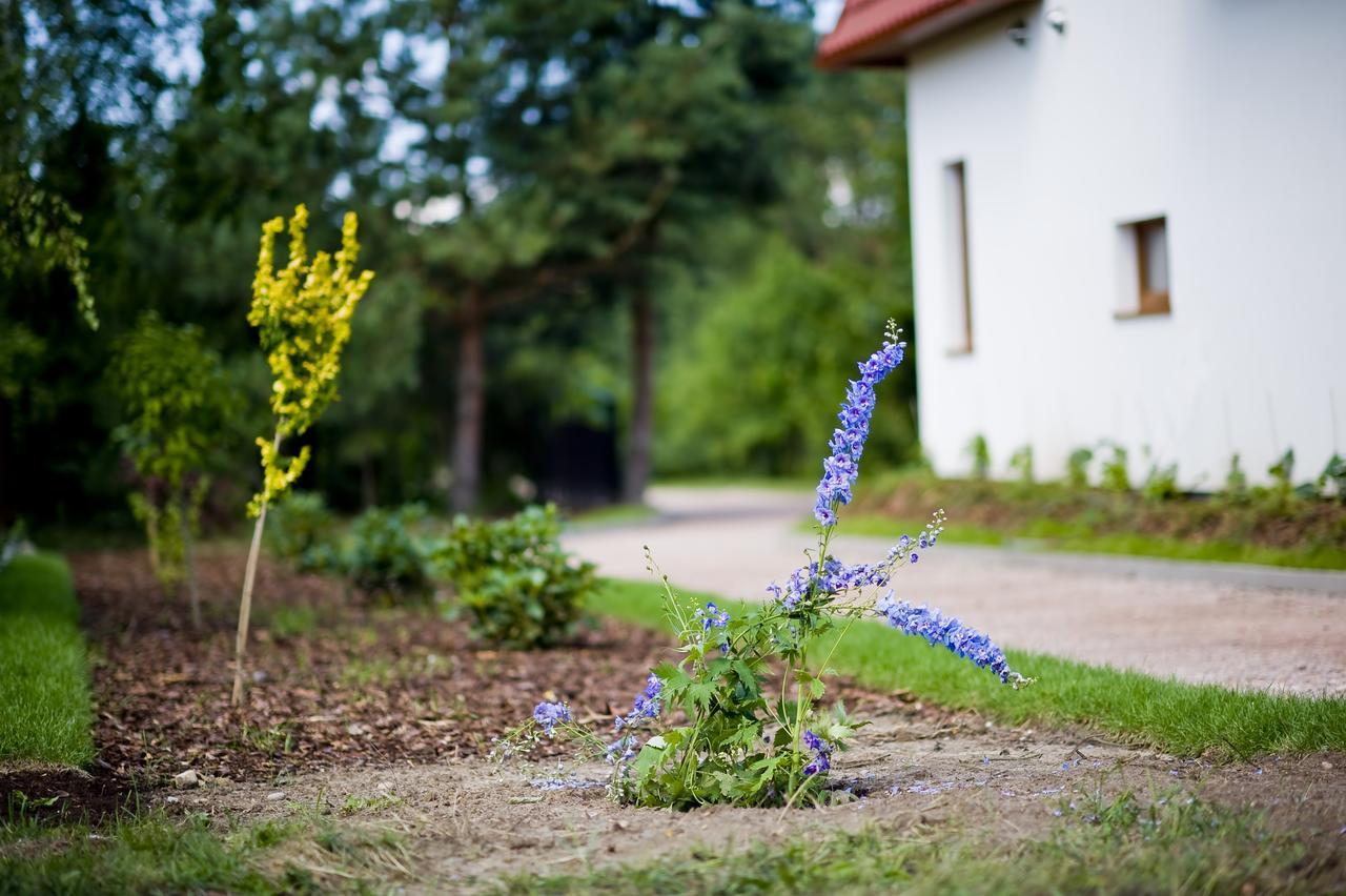Miodowy Zakatek Caloroczne Domki I Pokoje Przy Suntago, Deepspot, Pyszne Sniadania, Grill, Ognisko Mszczonow Exterior photo